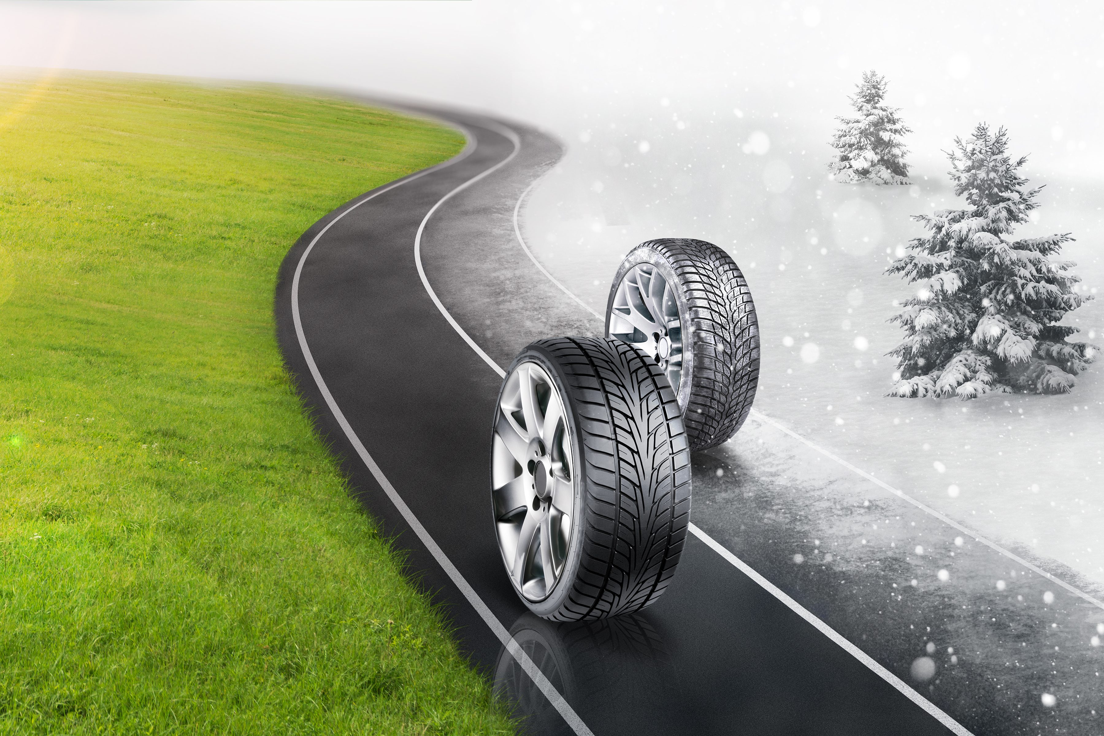 cropped-shutterstock_325940126-1.jpg